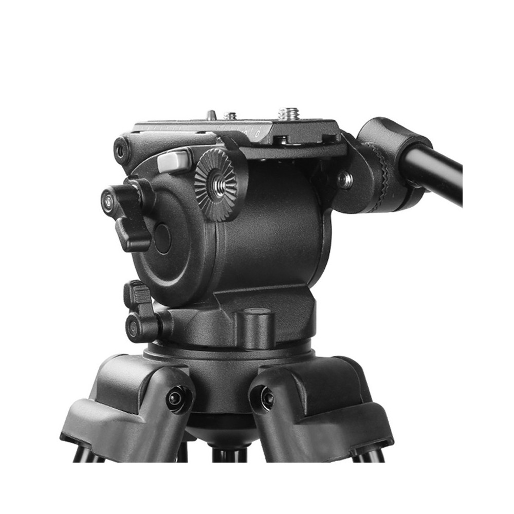 TREPIED WEIFENG WF718