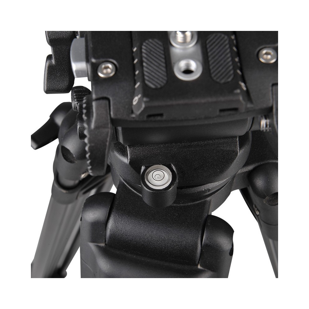 TREPIED WEIFENG WF718