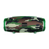 HAUT-PARLEUR SANS FIL BOROFONE BR3