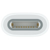 Adaptateur USB-C vers Apple Pencil