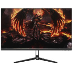 ECRAN GAMING AERO 24.5''...