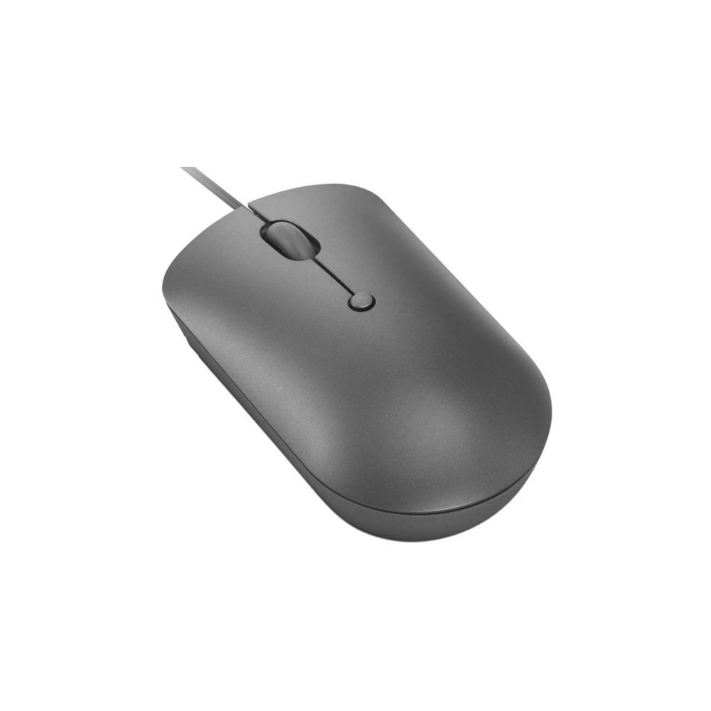 Souris Filaire Lenovo 540 USB-C / Gris