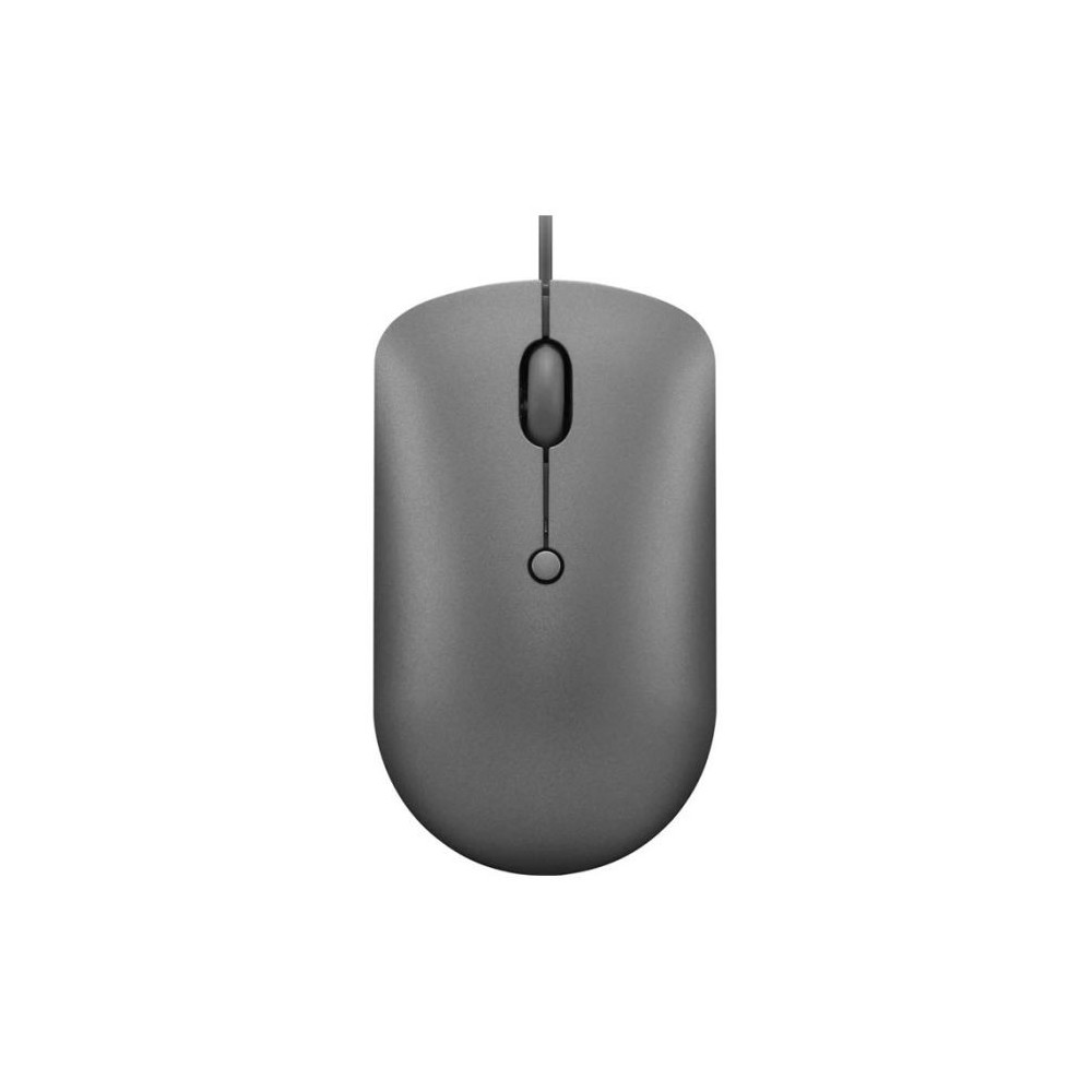Souris Filaire Lenovo 540 USB-C / Gris
