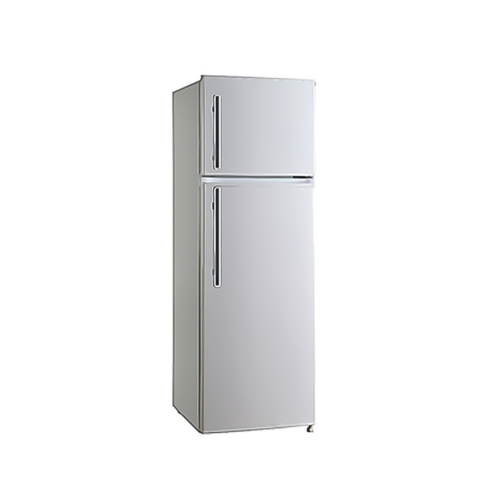 Réfrigérateur IRIS RD-IRIS300 Deux Portes
