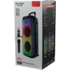 Haut-parleur Bluetooth ZQS8236 / Avec Microphone karaoké / 40W / Noir