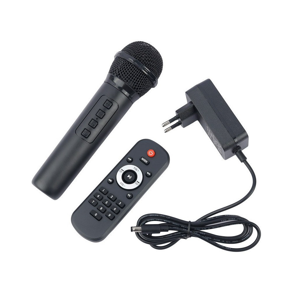 Haut-parleur Bluetooth ZQS8236 / Avec Microphone karaoké / 40W / Noir