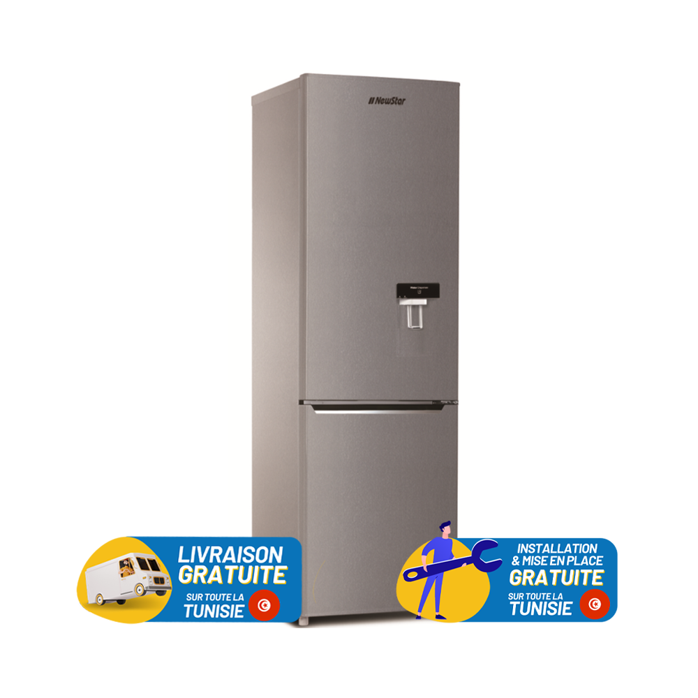 Réfrigérateur Congélateur Defrost NEWSTAR 3900WDS