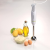 Mixeur Plongeant KENWOOD 600W Blanc