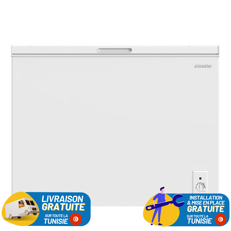 Congélateur Horizontal Newstar 340 Litres Blanc