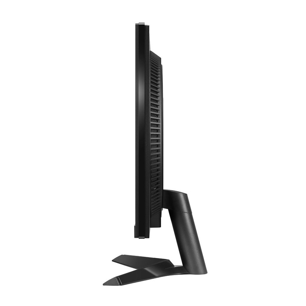 Écran Gaming LG 24GS60F 24'' Full HD