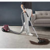 Aspirateur Sans Sac ROWENTA Compact Power XXL 900W - Rouge