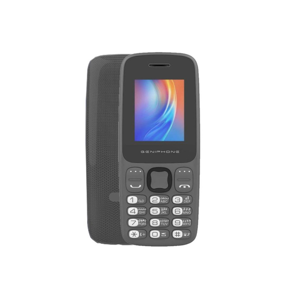 Téléphone Portable GENIPHONE A2 Mini / Gris
