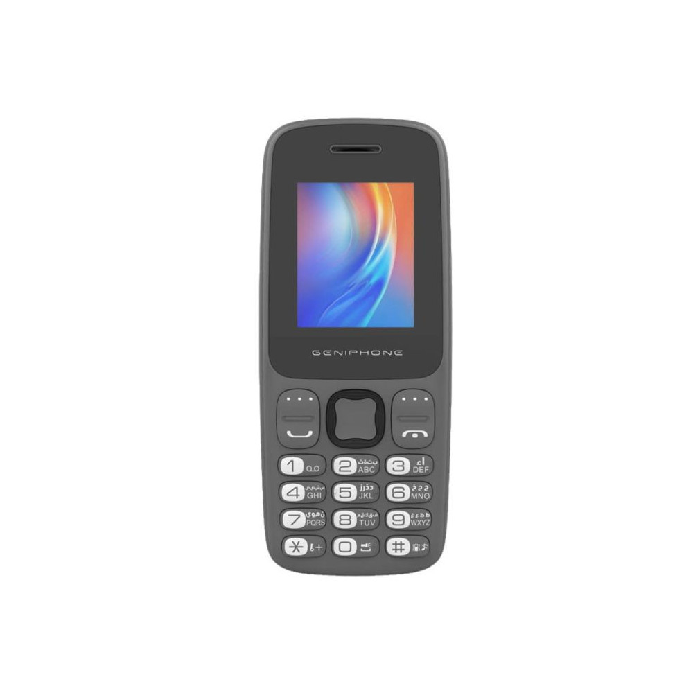 Téléphone Portable GENIPHONE A2 Mini / Gris