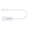 Adaptateur USB type C vers réseau Gigabit Manhattan