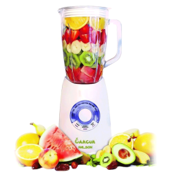 Blender PLASON