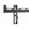 Support mural GEMBIRD d'écran 32”-55”