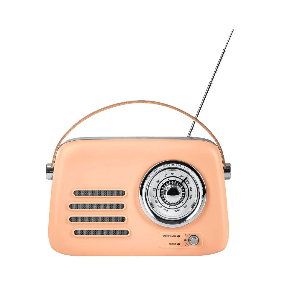 Haut-parleur Portable T10 AVEC FM / Marron