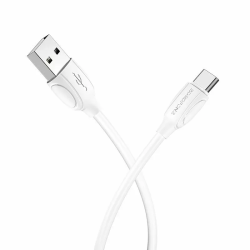 CABLE CHARGEUR BX19 TYPE C...
