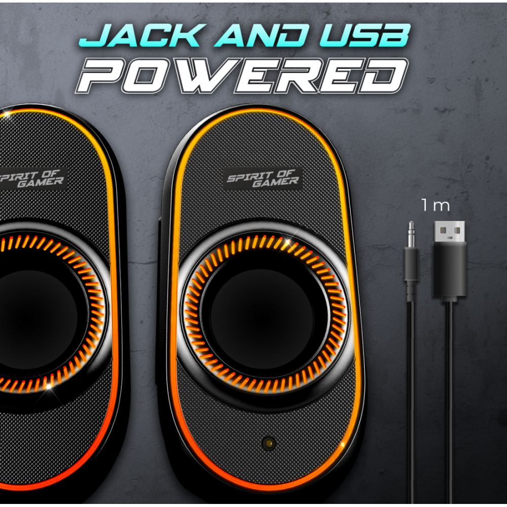 Haut-parleur Gamer Sans Fil SPIRIT OF GAMER Fanatic 500 RGB - Noir