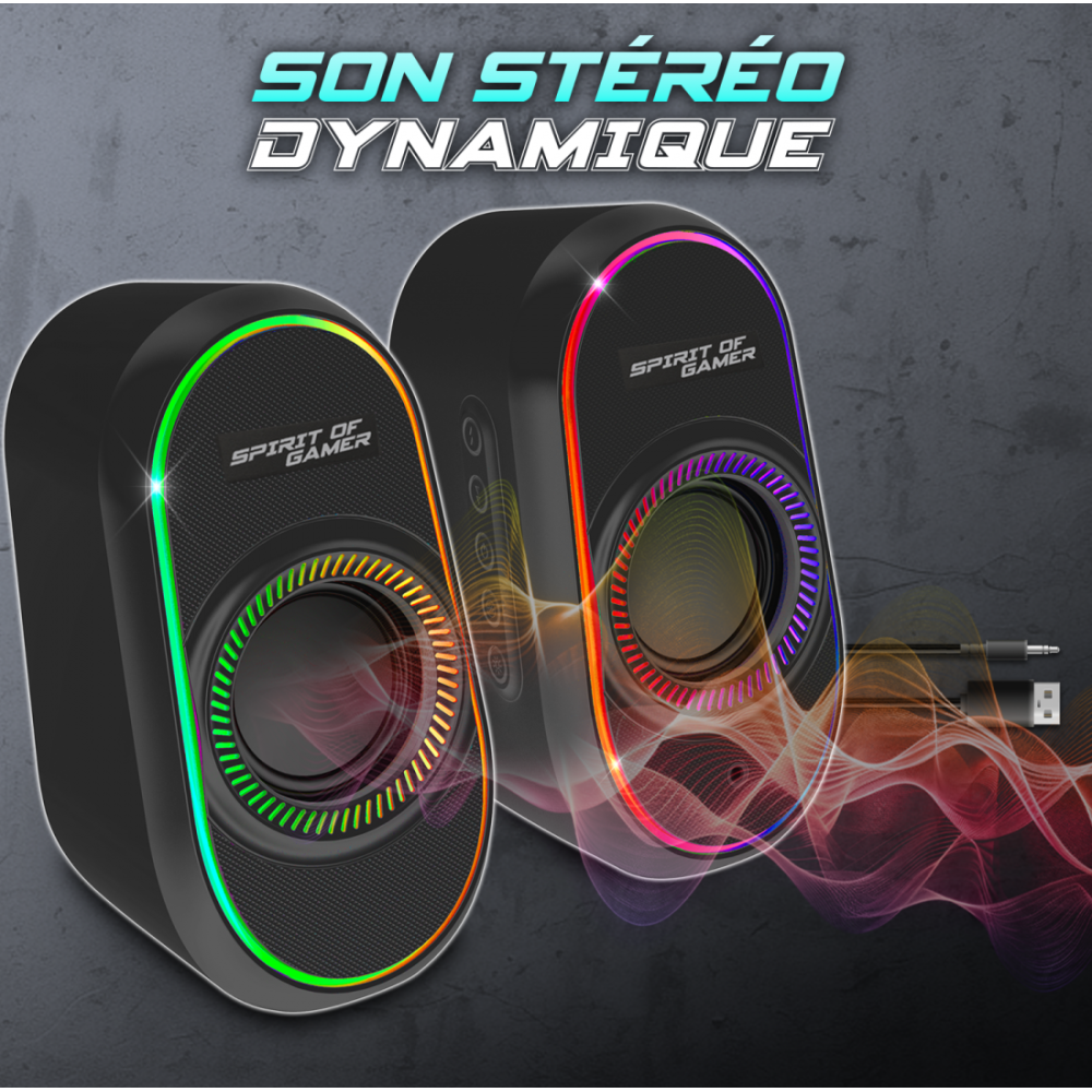 Haut-parleur Gamer Sans Fil SPIRIT OF GAMER Fanatic 500 RGB - Noir