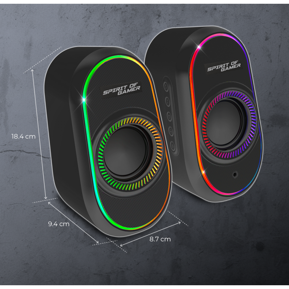 Haut-parleur Gamer Sans Fil SPIRIT OF GAMER Fanatic 500 RGB - Noir