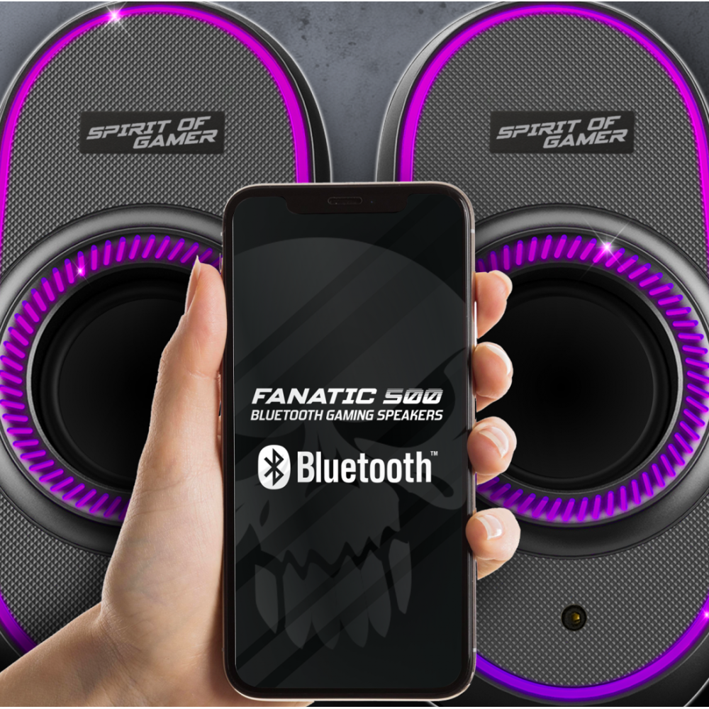 Haut-parleur Gamer Sans Fil SPIRIT OF GAMER Fanatic 500 RGB - Noir