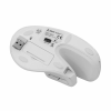SOURIS SBOX VM-838W Vertical Wireless WHITE