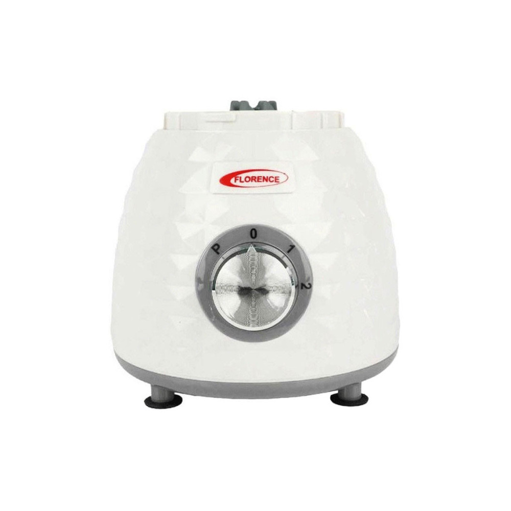 Blender FLORENCE BL820 1000W Avec Moulin -GRIS
