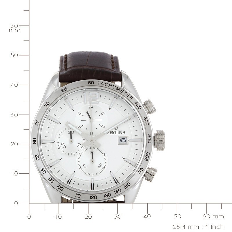 Montre Homme Festina 16760/1