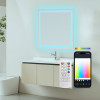 Nombre de LED : 147 (RVB) + 147 (Blanc chaud) - Flux lumineux : 1 000 lm - Angle d'éclairage : 110°