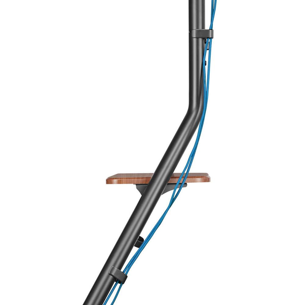 Support Fixe NEDIS Pour TV Au Sol 37'' - 75''- 40 kg - Noir / Marron