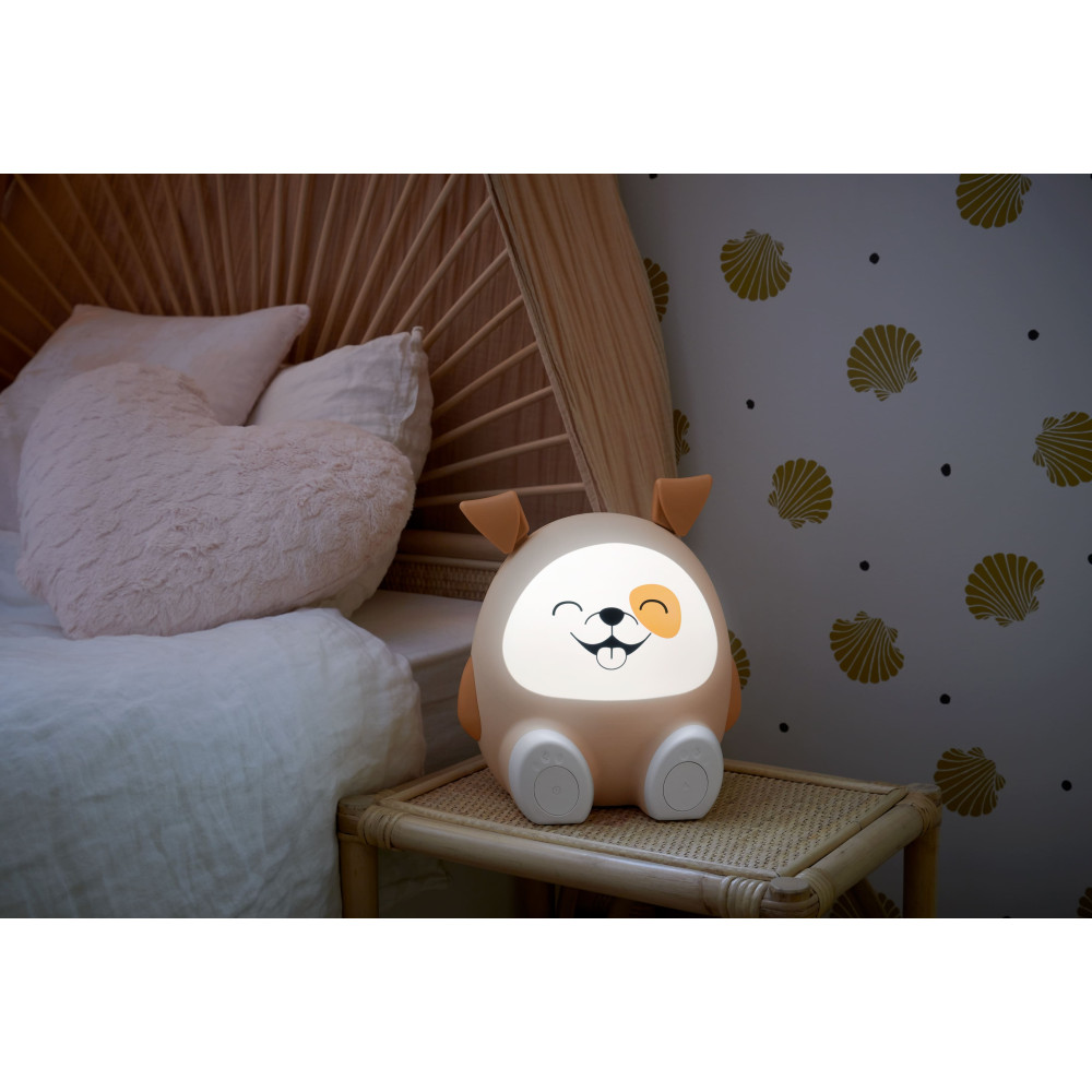 Enceinte sans fil lumineuse et veilleuse