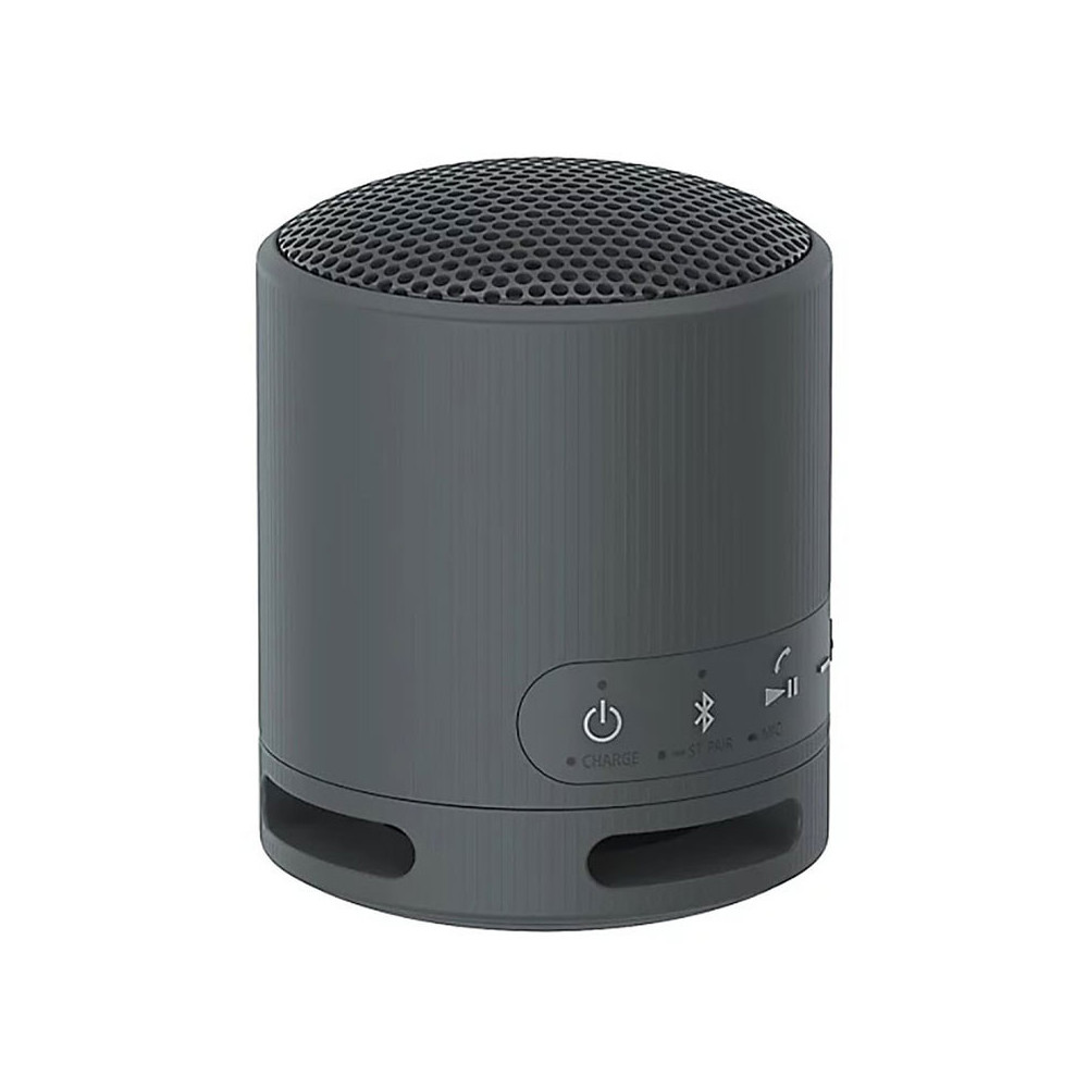Enceinte SONY compacte sans fil Bluetooth XB100 | Gris