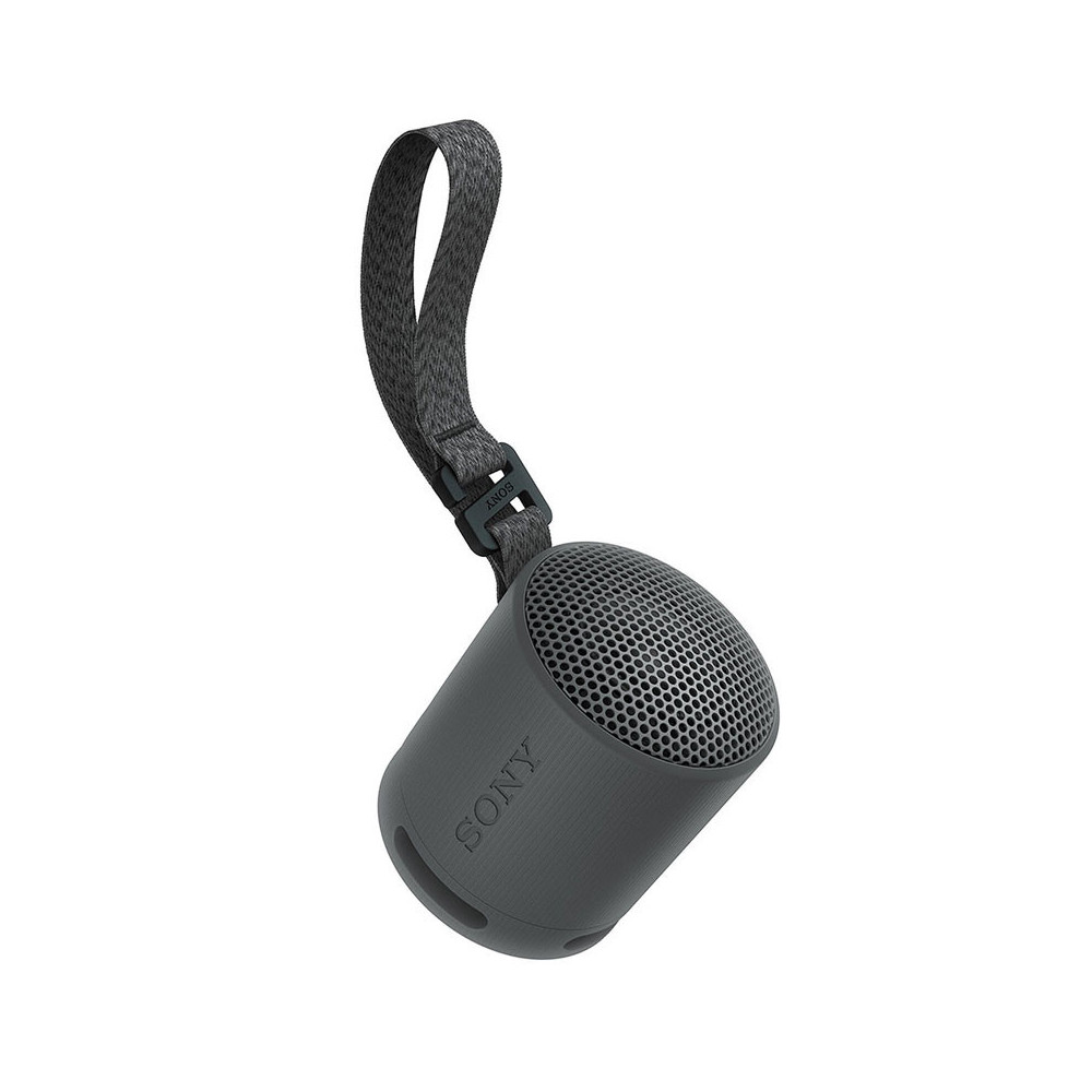 Enceinte SONY compacte sans fil Bluetooth XB100 | Gris