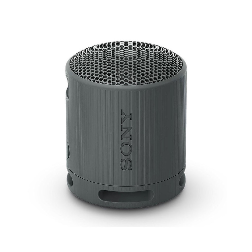 Enceinte SONY compacte sans fil Bluetooth XB100 | Gris