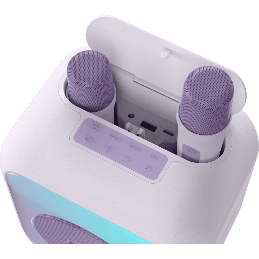 Enceinte Karaoke avec 2 micros sans fil PARTYBTKML BIGBEN