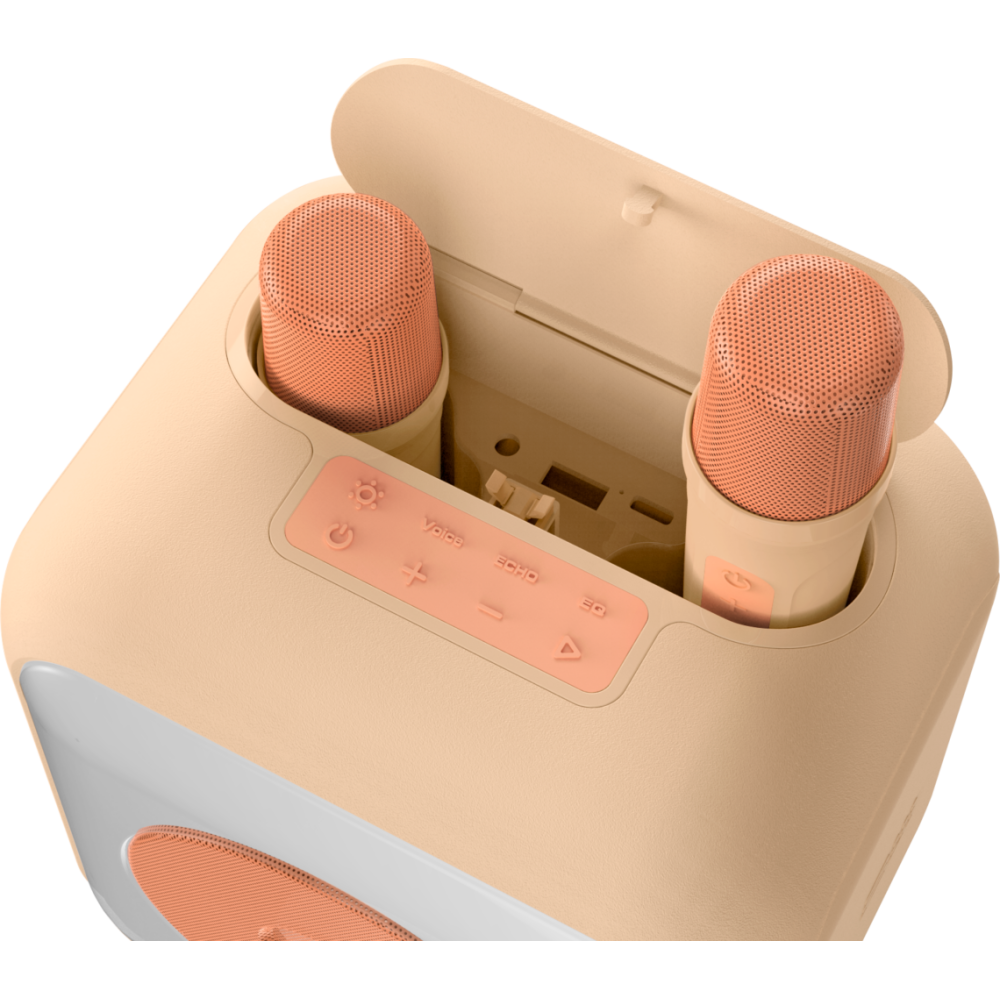 Enceinte Karaoke avec 2 micros sans fil PARTYBTKMP BIGBEN