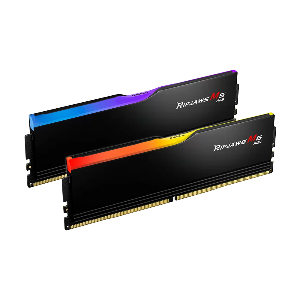 Barette Mémoire Gaming G.Skill Ripjaws M5 RM5RK / 96 Go (2x 48Go) / DDR5 / U-DIMM / CL36 / 5200 MHz / RGB