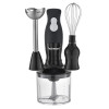 Mixeur Plongeant 3en1 TECHWOOD / 300W /  TMS-8356
