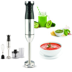 Mixeur SCHNEIDER 3EN1 / 600W / INOX