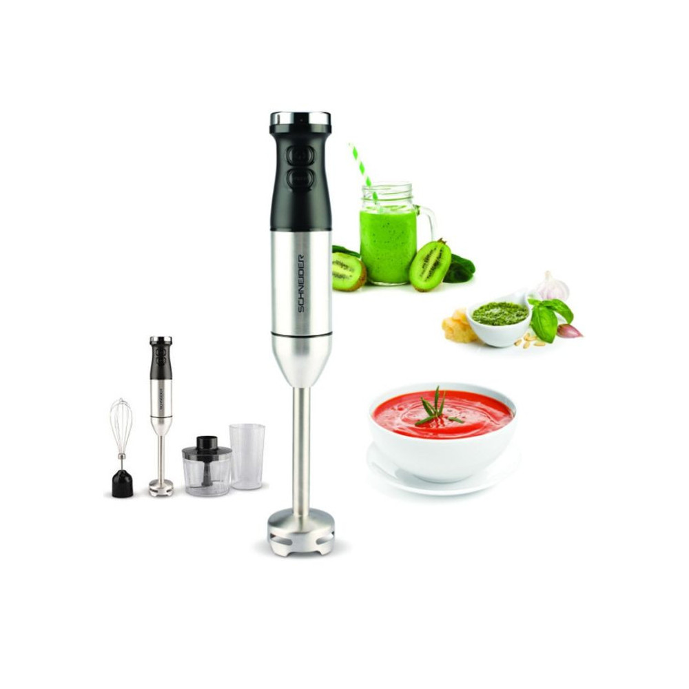 Mixeur SCHNEIDER 3EN1 / 600W / INOX