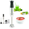 Mixeur SCHNEIDER 3EN1 / 600W / INOX
