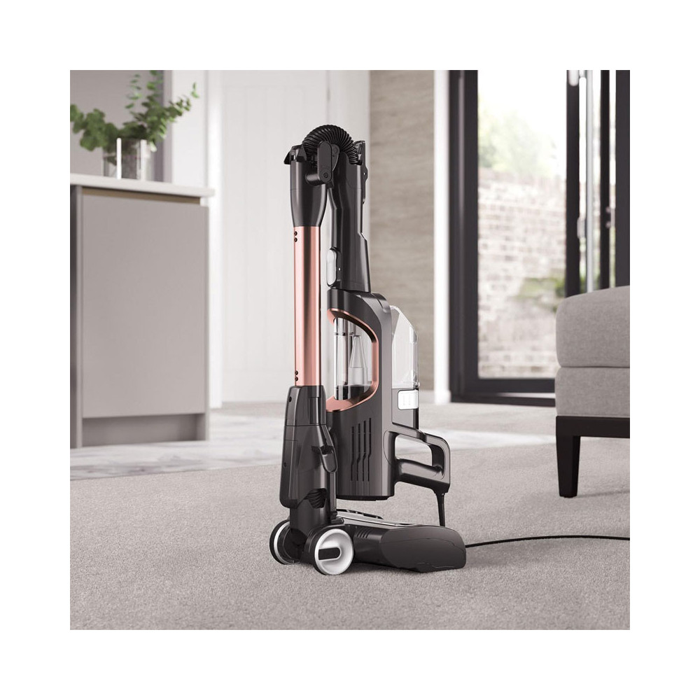 Aspirateur BALAI SHARK 300ML / 450W / Noir et GOLD / HZ500EU