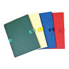 CHEMISES EXTENSIBLES PLASTIPAP 24X32 A SANGLE BLEU