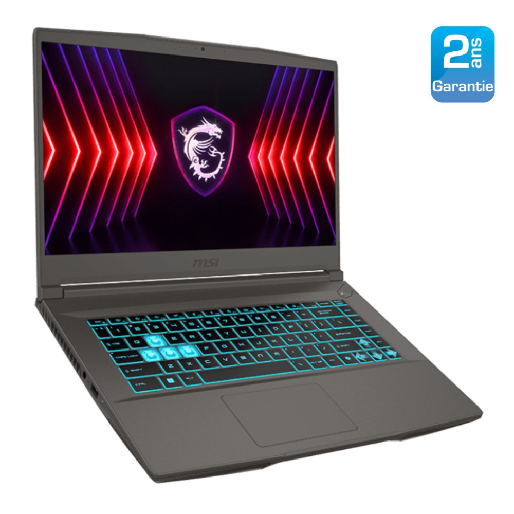 Portable Gamer MSI Thin 15 B13UDX / i5-13420H / RTX 3050 6G / 8 Go / 512 Go SSD / Gris