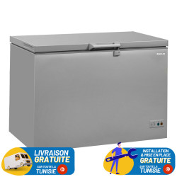 CONGELATEUR HORIZONTAL FOCUS 305 LITRES SILVER / PORTE INOX / FC-3001X