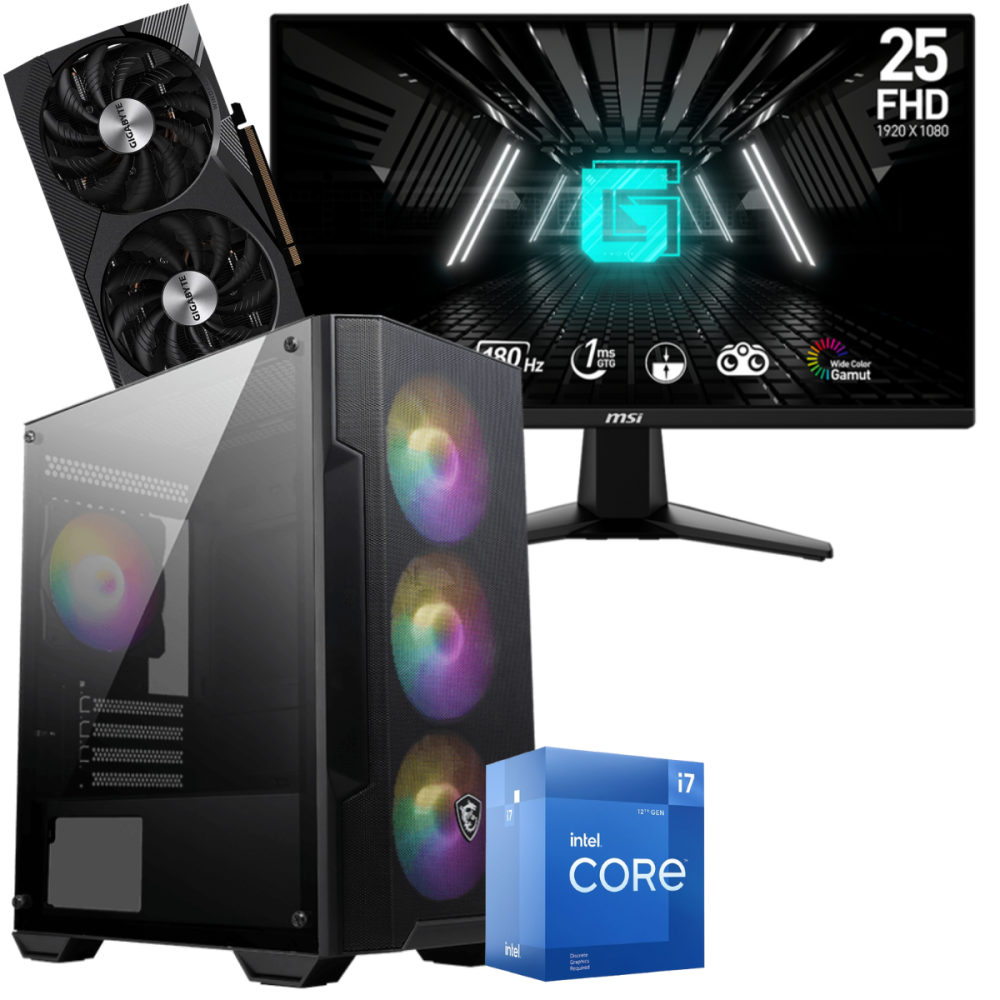 Setup Gamer Special Pc de Bureau Gaming / i7-12700F / RTX 3060 12G / 32 Go Avec Écran MSI 24.5" Full HD IPS 180 Hz