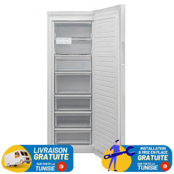 Congélateur Vertical ACER GS350LX 350 Litres -BLANC