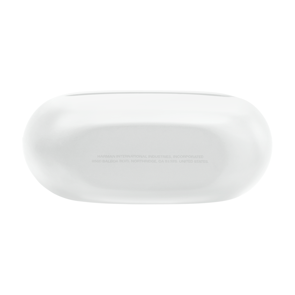 Écouteurs JBL Endurance Race 2 Blanc