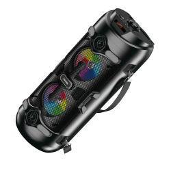 Enceinte sans fil KAKUSIGA...